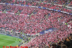 2013_CL_Finale_17