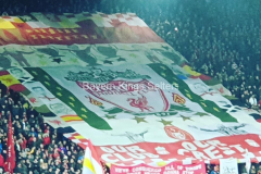 2019_Liverpool_11