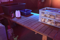 Sommerfest_2025_14
