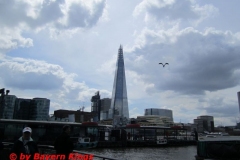 img_3609
